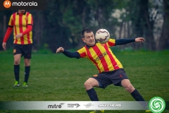 GALERIA-LIF-51