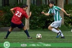 LIF-DOMINGO-61