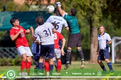 Domingo_LIF_ALTA_0203