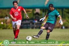 Domingo_LIF_ALTA_0212