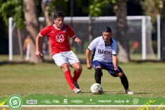Domingo_LIF_ALTA_0218