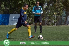 LIF-SABADO-86