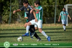 15-DOMINGO-LIF-16