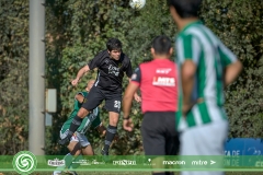 15-DOMINGO-LIF-17