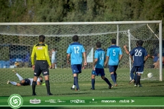 15-DOMINGO-LIF-7